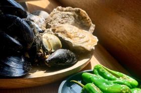 Péniche Anna Maria 4 - photo 7