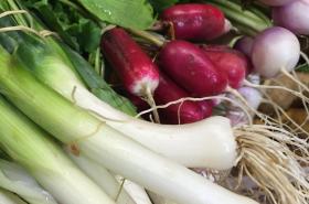 Péniche Anna Maria 4 - photo 6