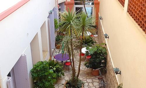 L'Orque Bleue - photo 2